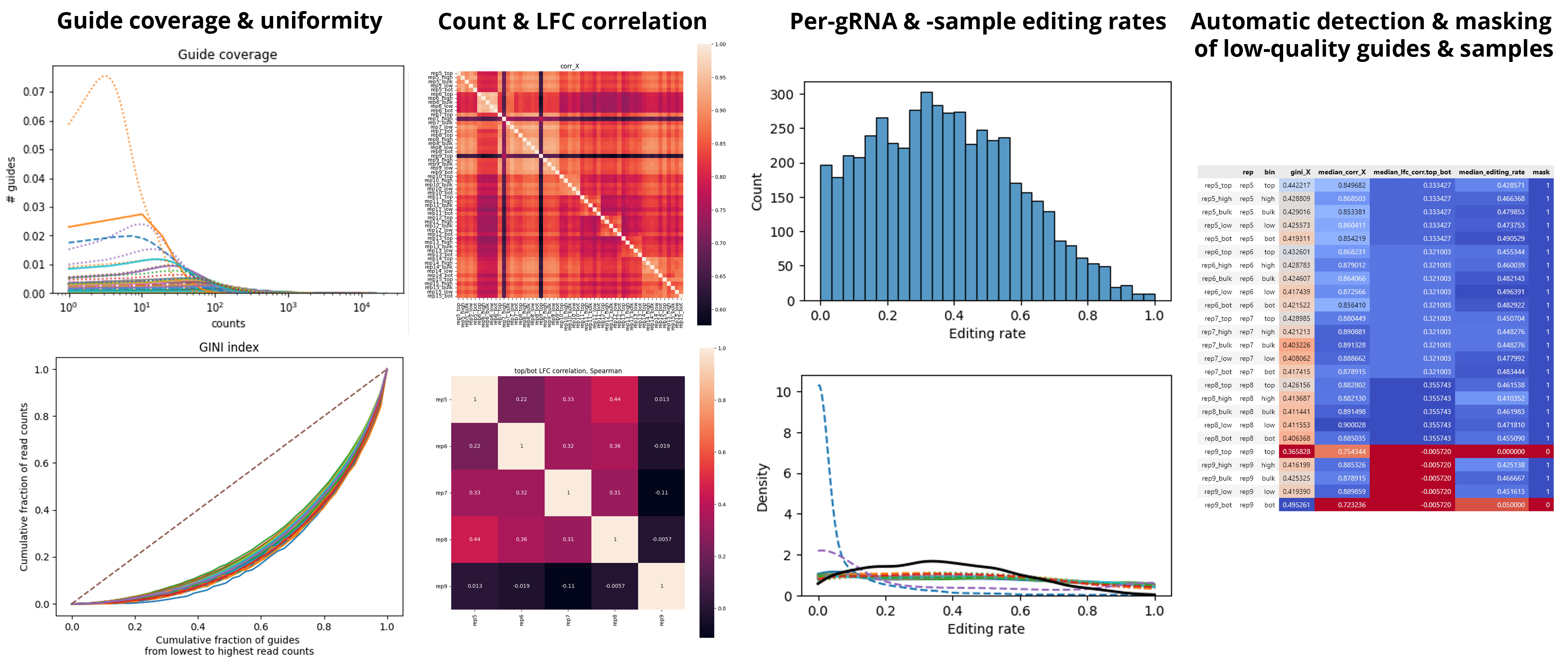 Allele translation