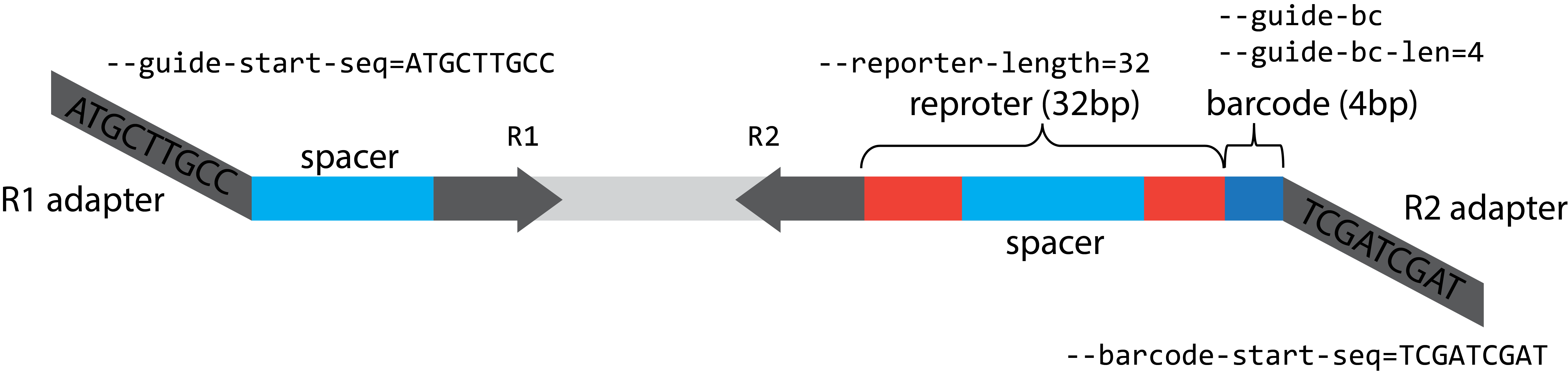 Read structuren