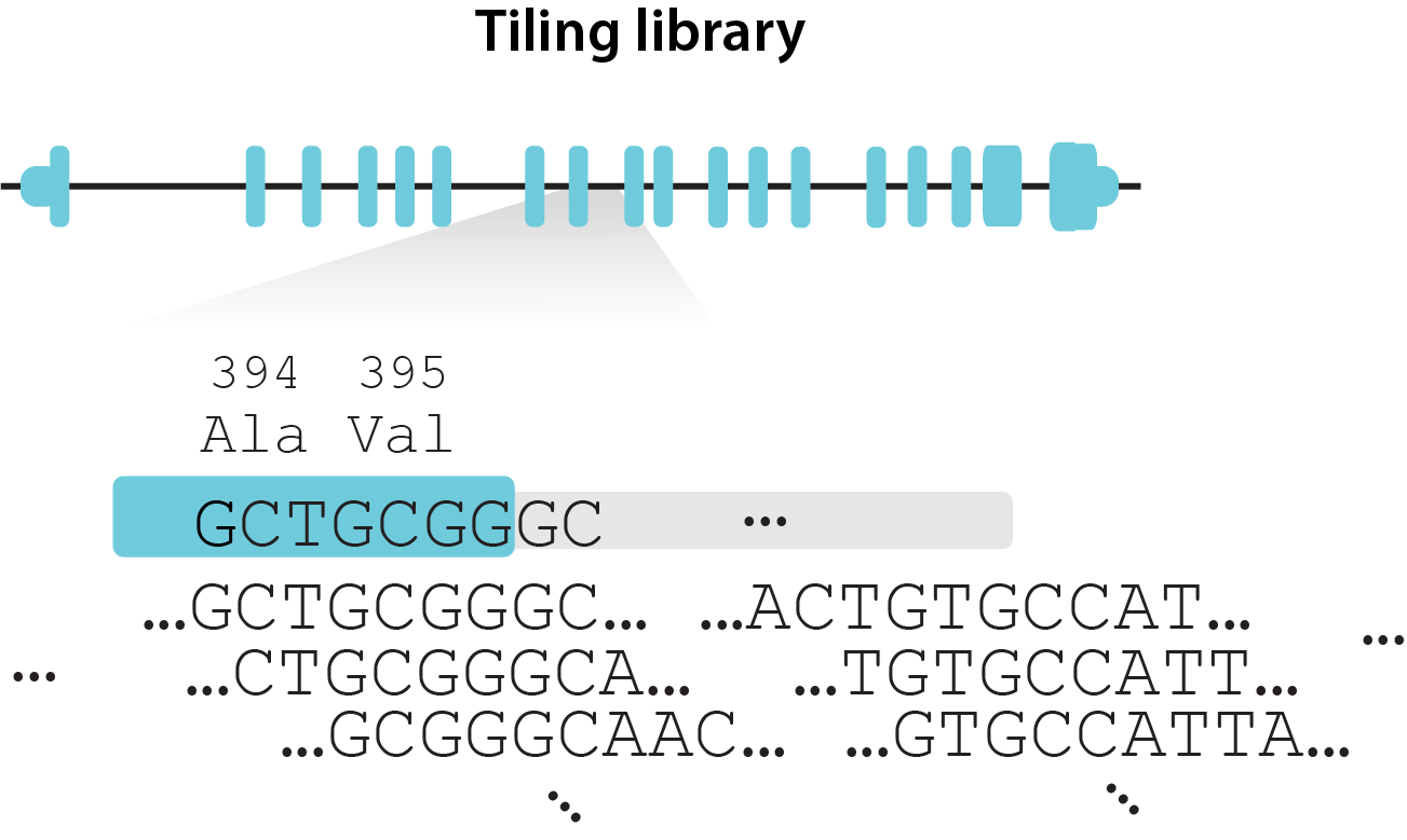 tiling library design