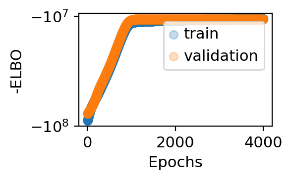 ../../_images/source_notebooks_pancreas_8_7.png